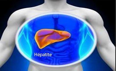 Hepatite bc maladies du foie :Rose de Jéricho Bienfaits Utilisations