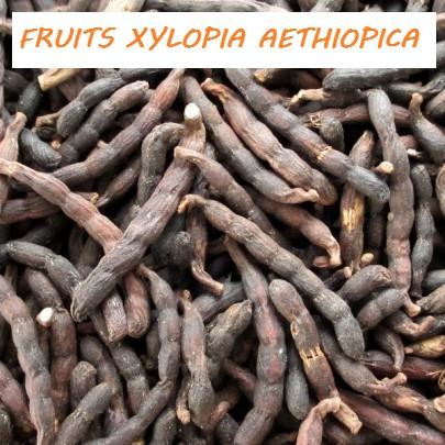 Xylopia aethiopica contre Aspergillose